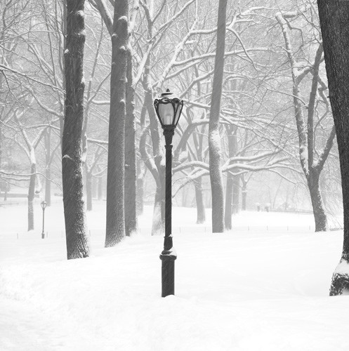Lamp Post - Central Park