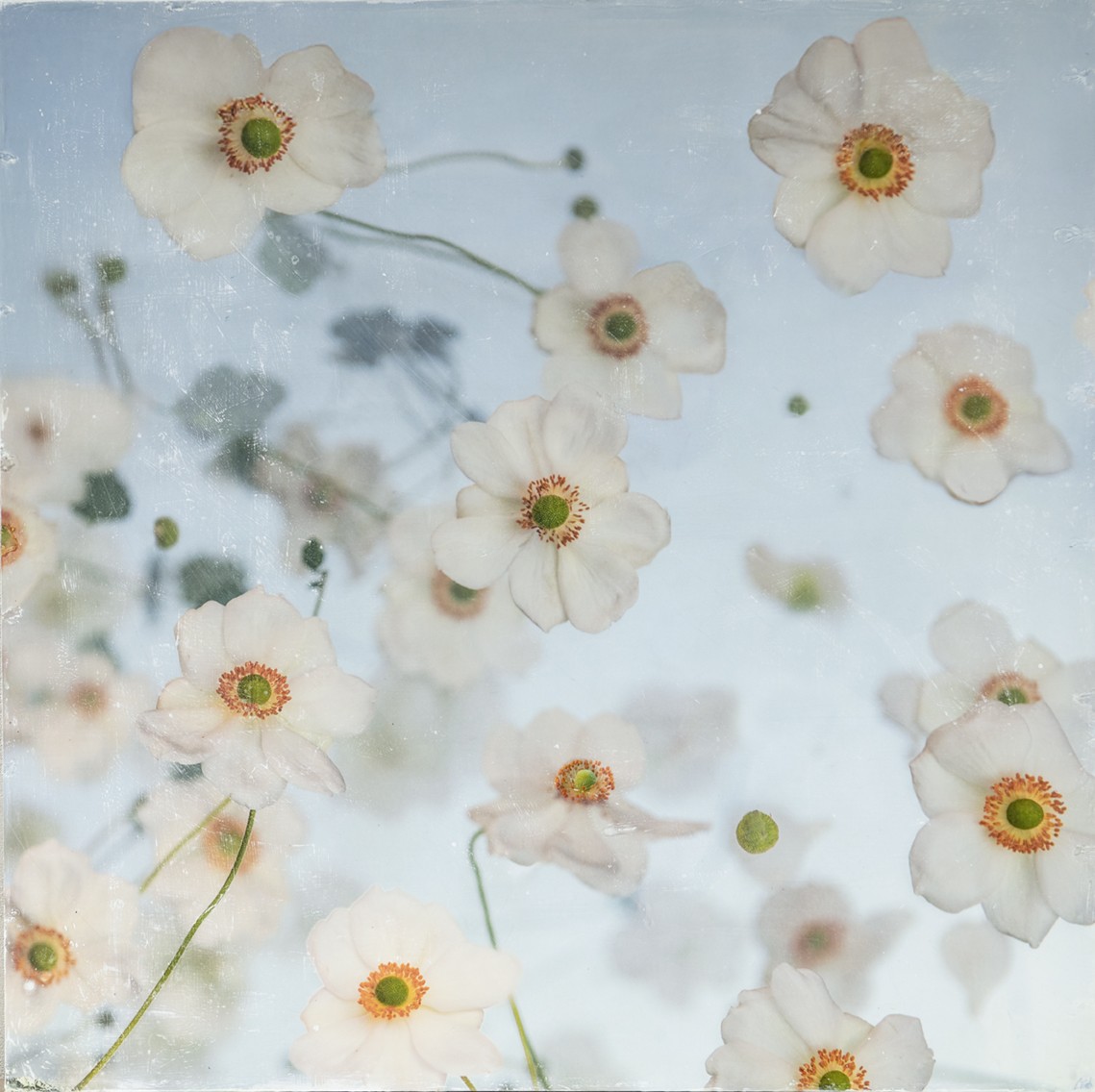 Grandview Garden Club