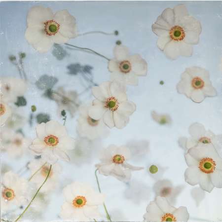 Grandview Garden Club