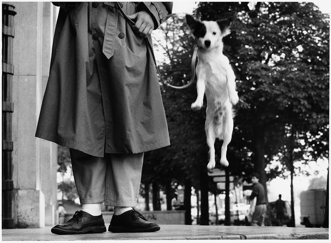 Paris, France (Dog Jumping)