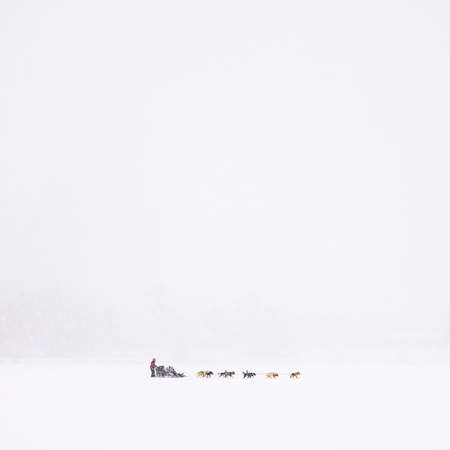 Dog Sledders, Mirror Lake