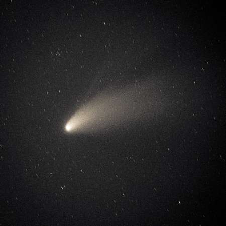 Hale-Bopp Comet 1995