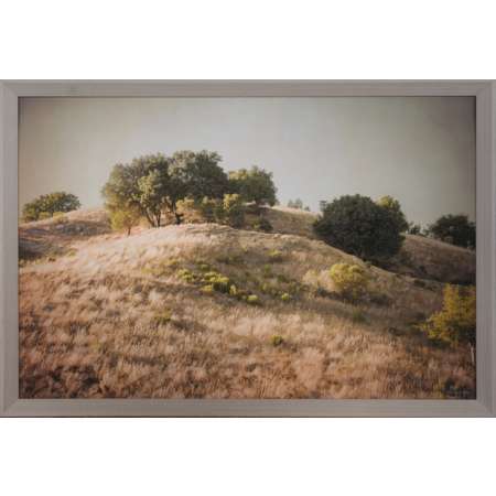 Hillside, Orinda Commons, California