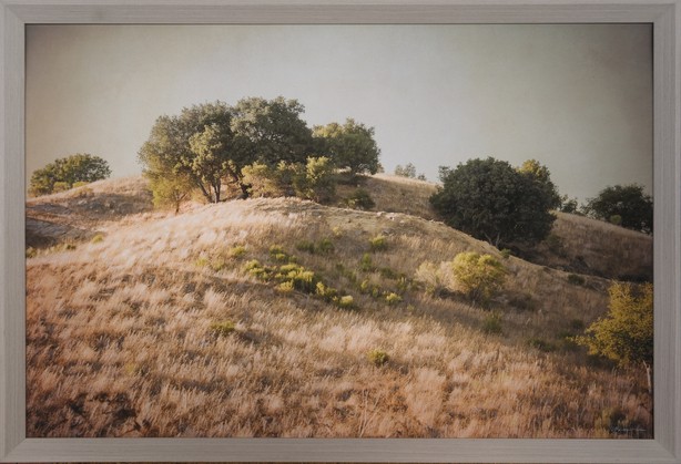 Hillside, Orinda Commons, California