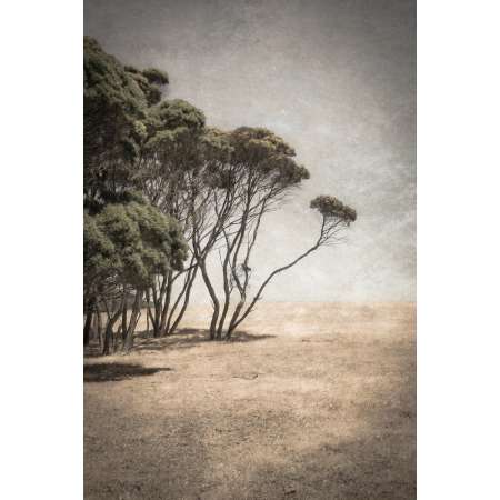 Mallee, Kangaroo Island, South Australia