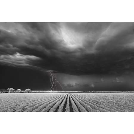 Lightning/Cotton Field