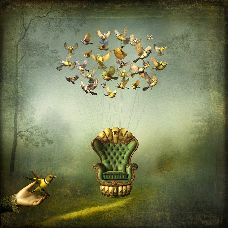 A Convergence of Birds