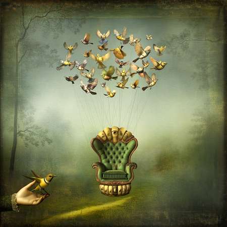 A Convergence of Birds