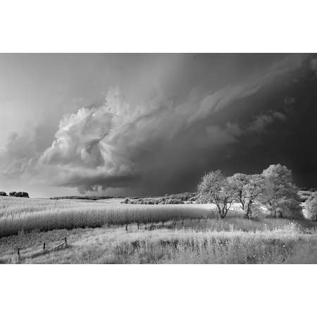 Storm, Field and Trees
