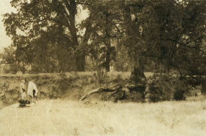 Photographing Roots