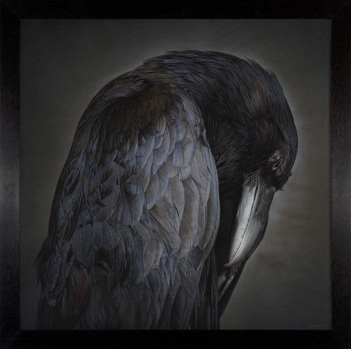 Portrait of a Raven