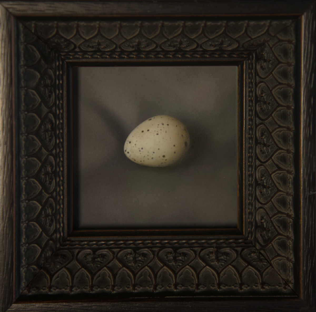 Quail Egg 21