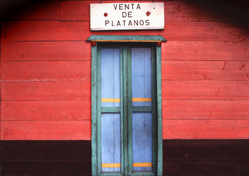 Venta de Platanos, 2006
