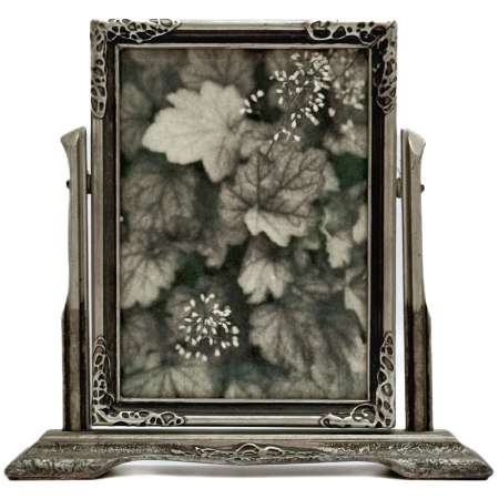 The Coral Bells Framed