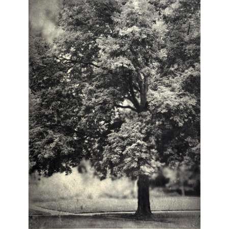 The Glimmer of Presence