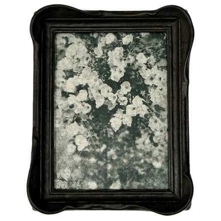 The Rose Bush Framed