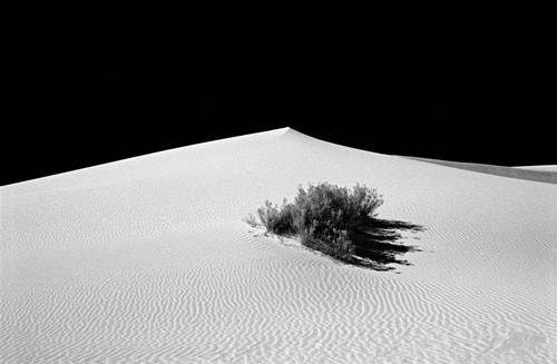 White Sands Dune