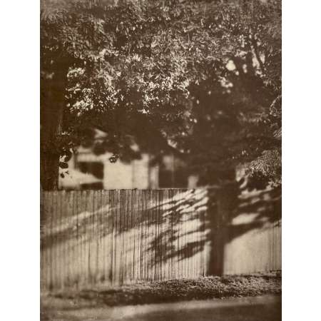 Where Shadows Linger