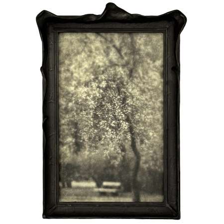 A Luminous Veil Framed