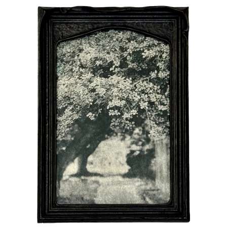 Beneath the Boughs Framed