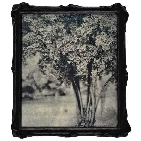 By the Buckthorns Framed