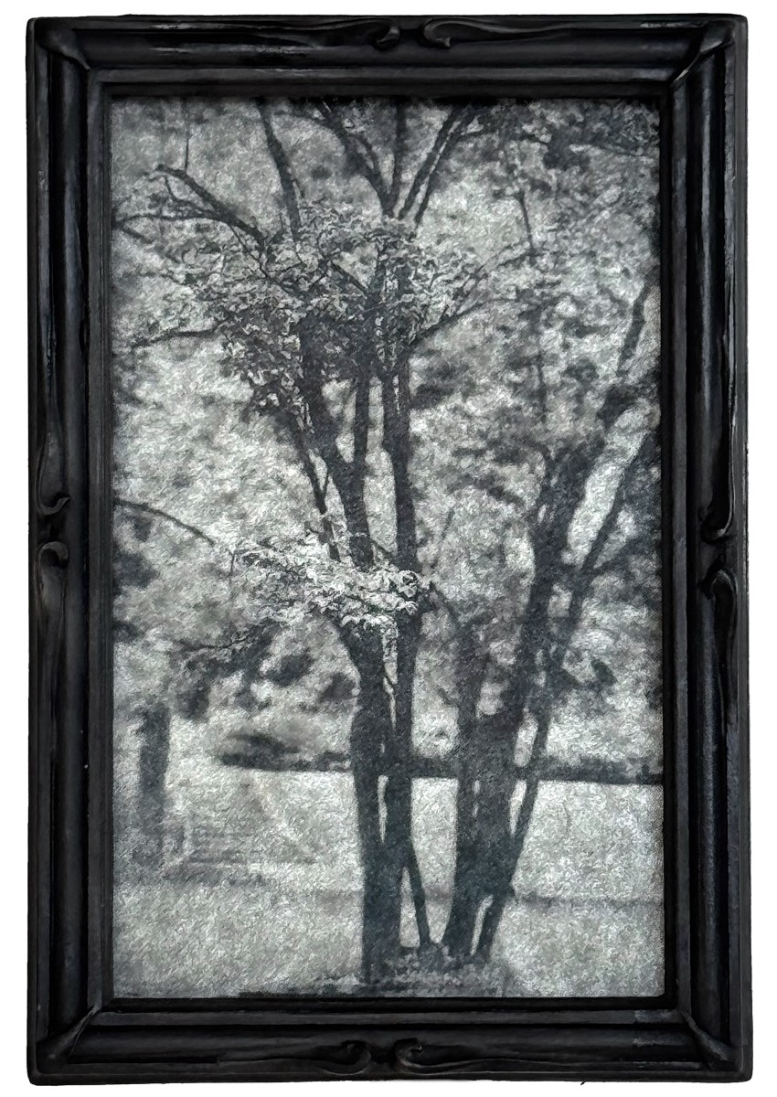 Where the Light Rests