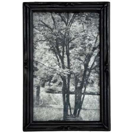 Where the Light Rests Framed