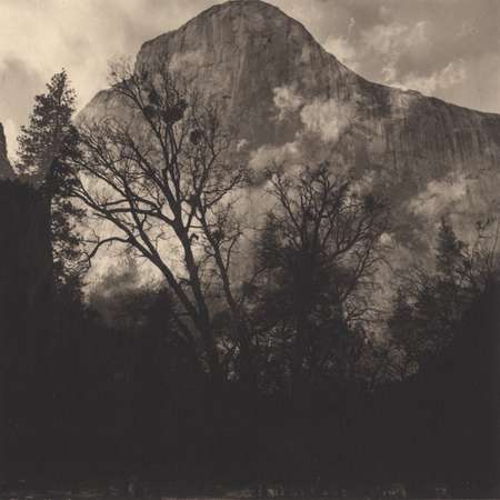 Yosemite #16