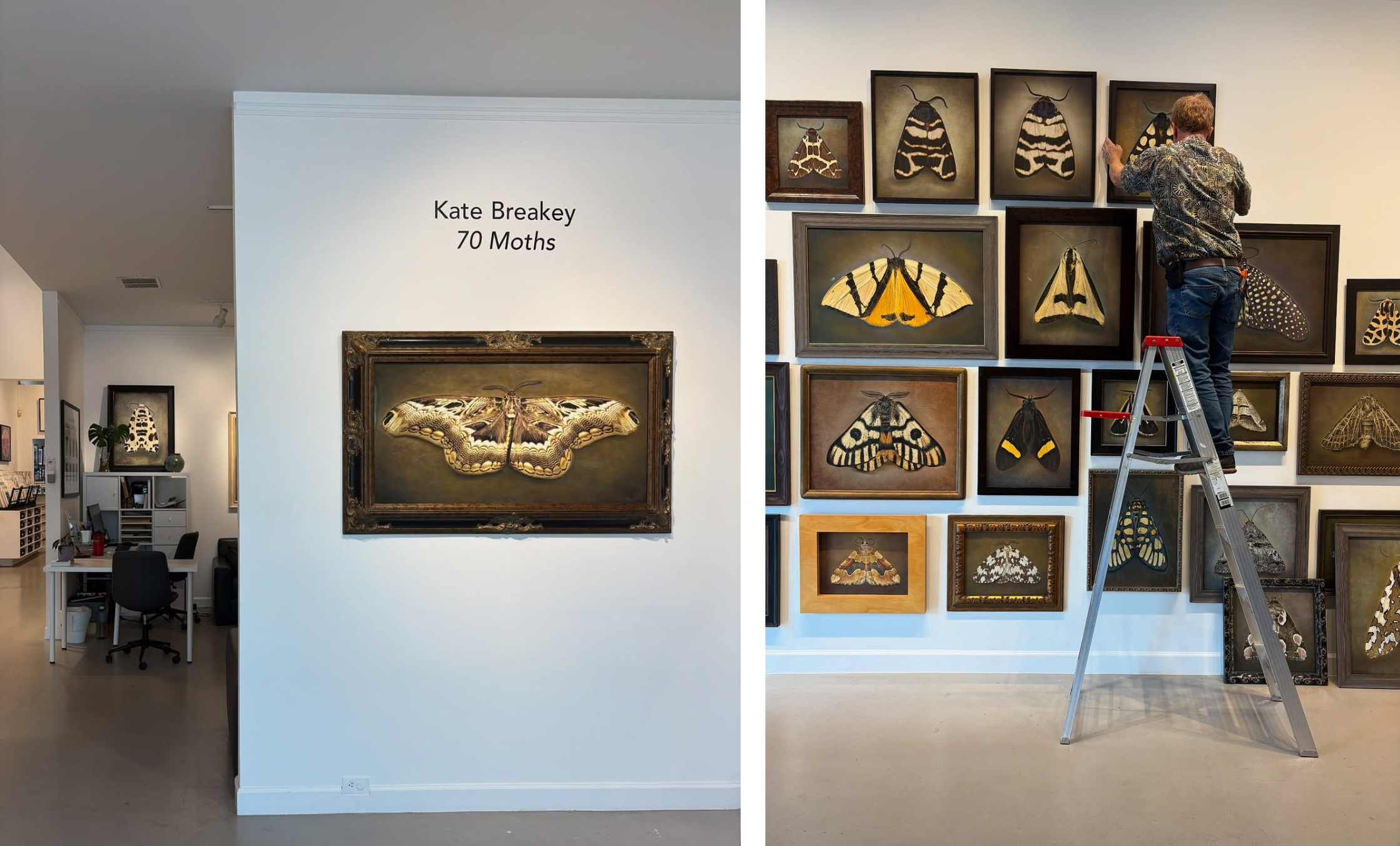 Kate_Breakey_70_Moths_Gallery_Catherine_Couturier