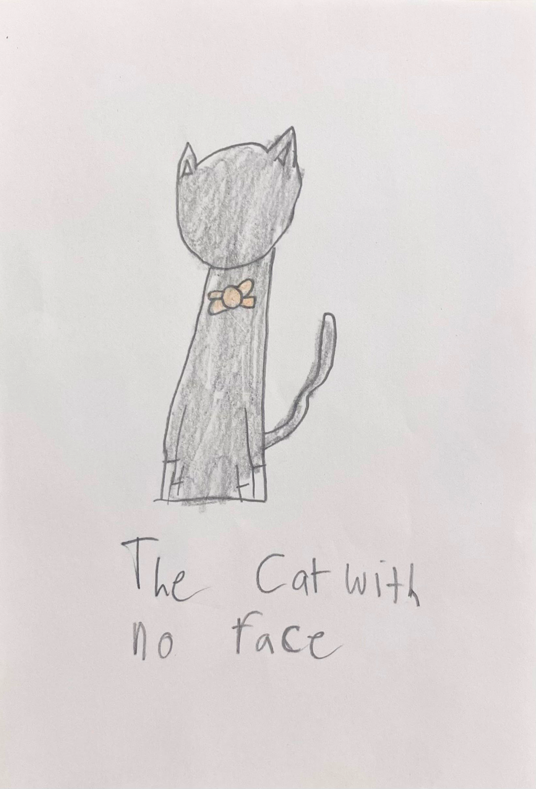 The Cat With No Face