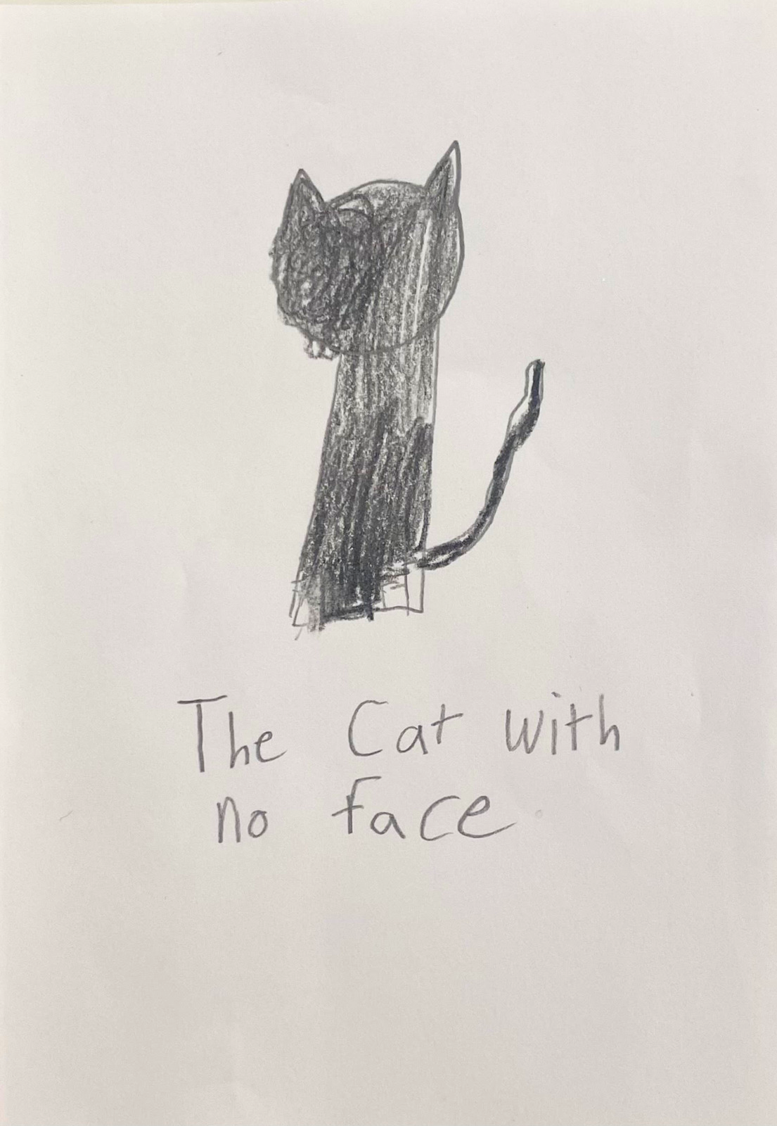 The Cat With No Face
