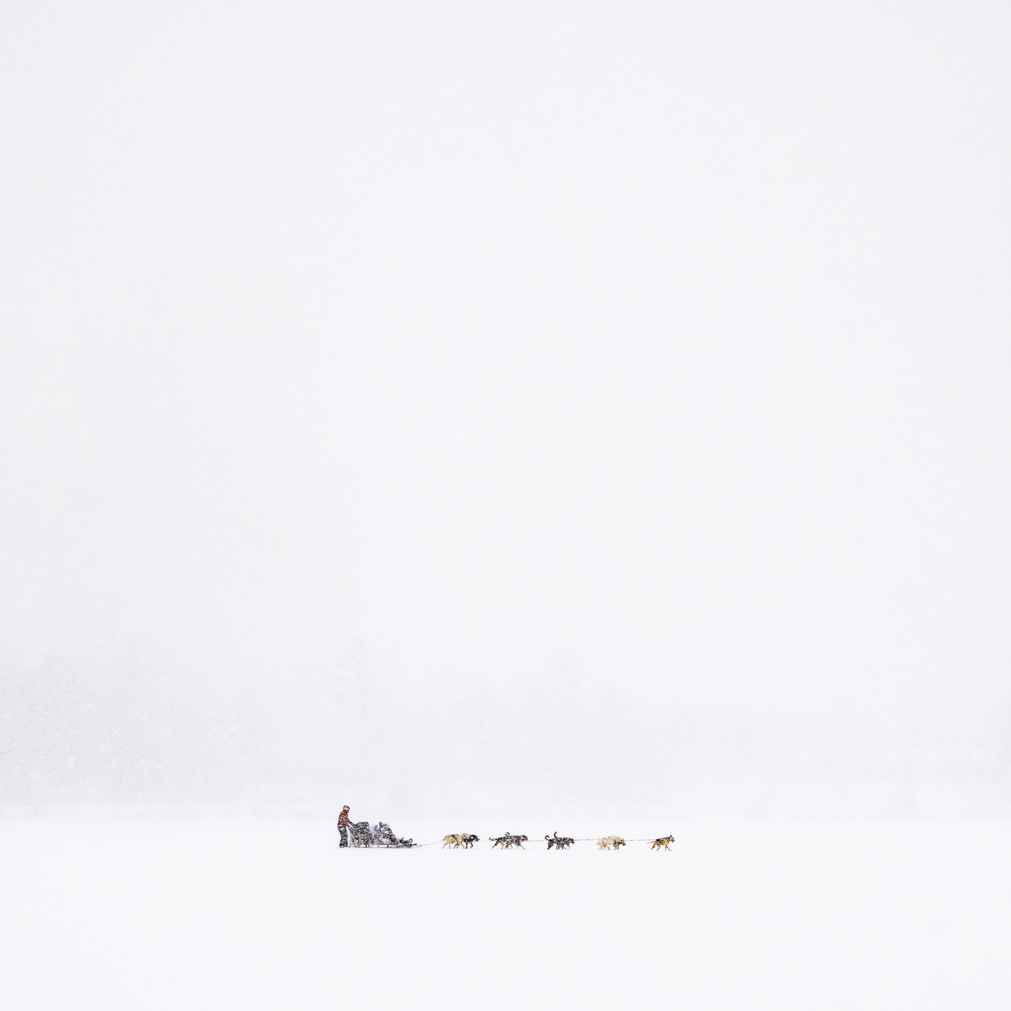 Emily_Neville_Fisher_Dog_Sledders,_Mirror_Lake_2022_Catherine_Couturier_Gallery