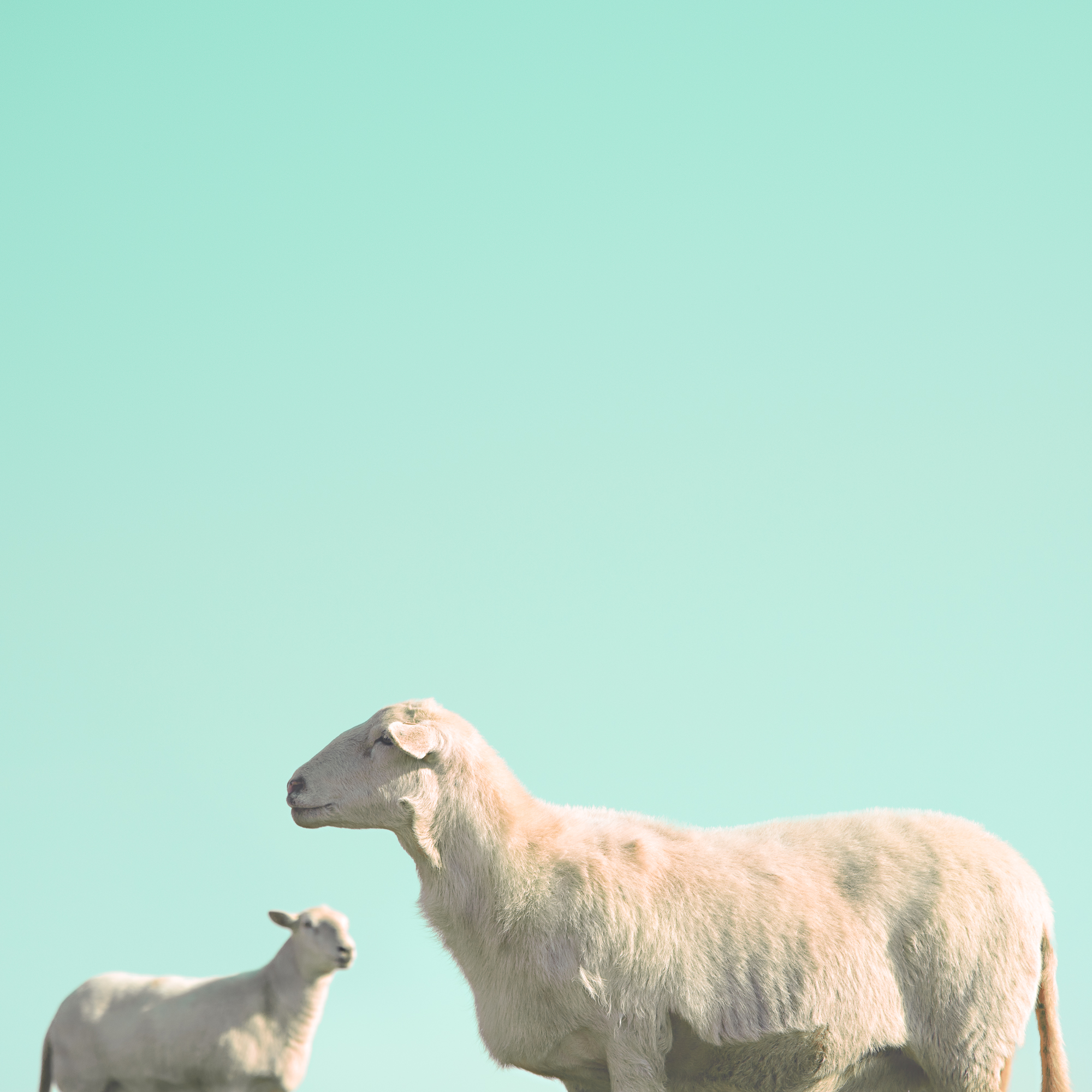 Emily_Neville_Fisher_Two_by_Two_2019_Catherine_Couturier_Gallery_1