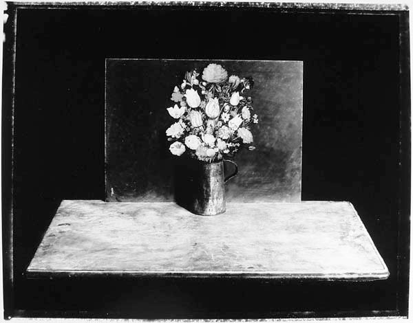Pamela Hawkes, Still Life with Bosschaert Flowers, Silver print, 14-1/2 x 18 -3/8 in, 2000