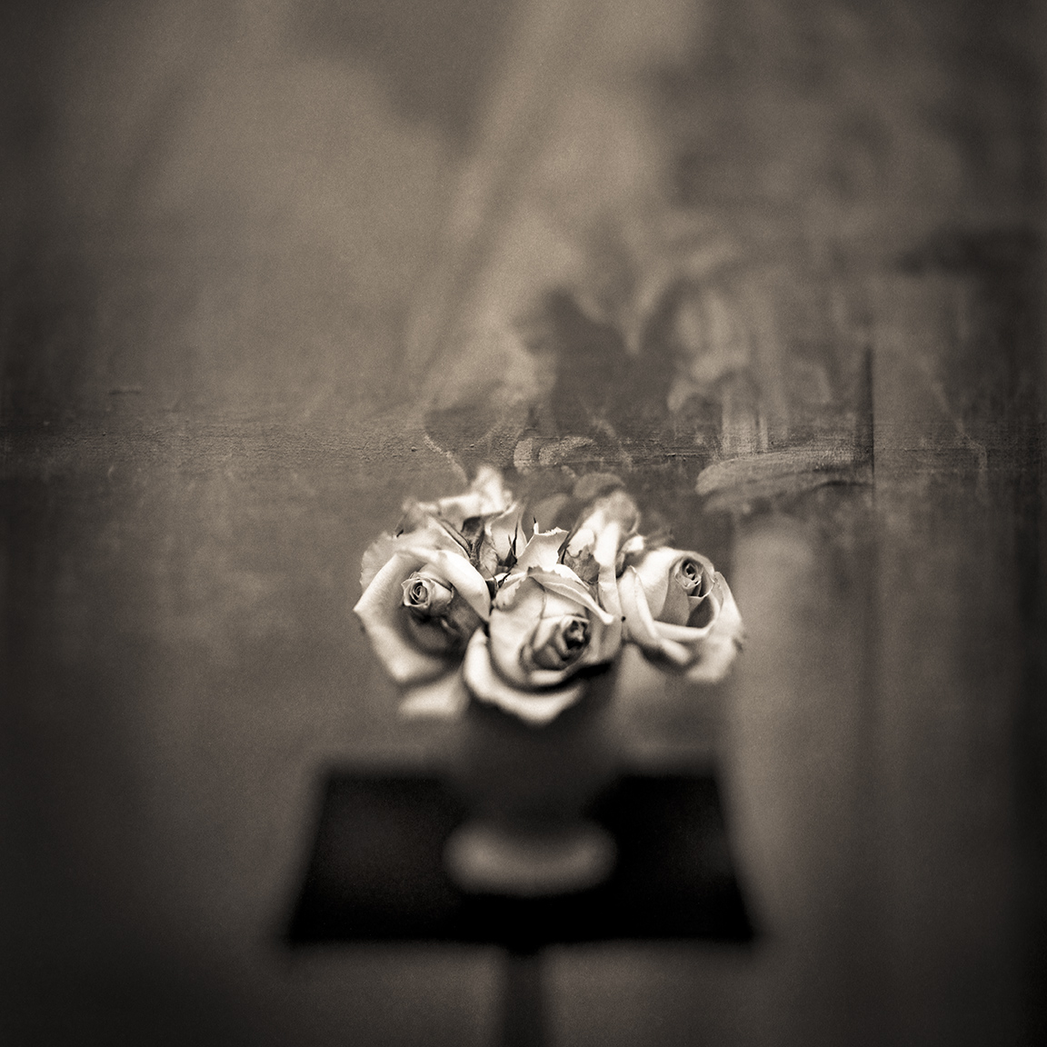 Keith Carter, White Roses, 1998