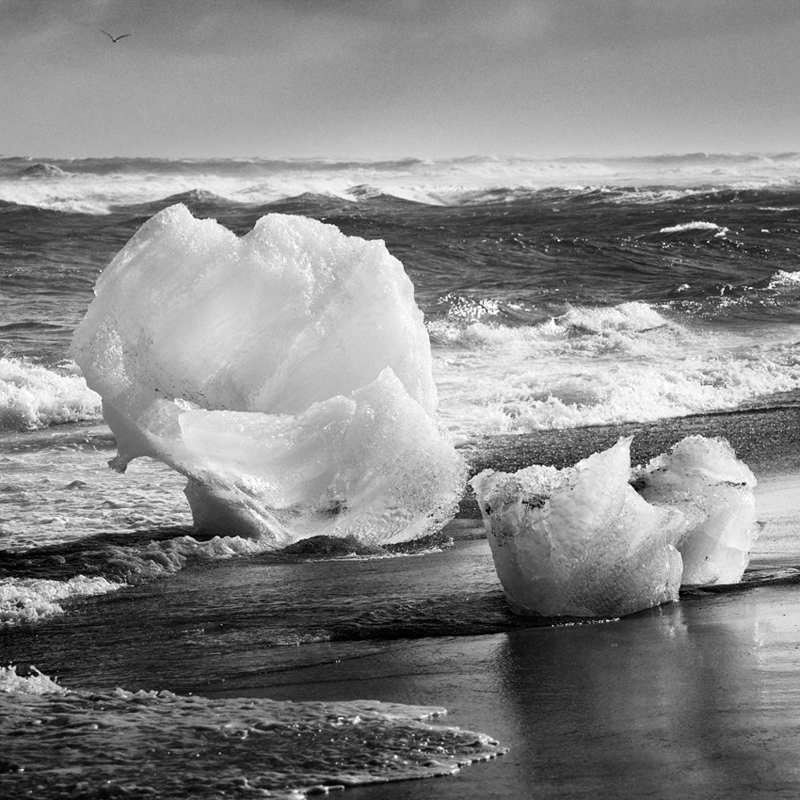 jean miele - Small Icebergs at Jokulsarlon