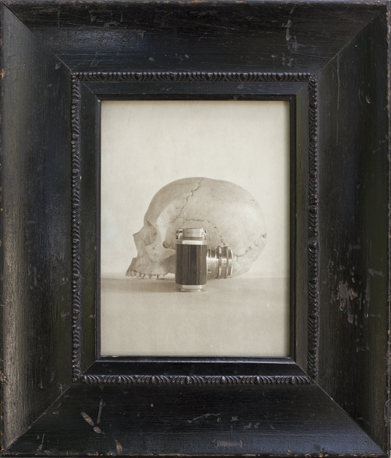 Skull and Camera, Jefferson Hayman, Catherine Couturier Gallery