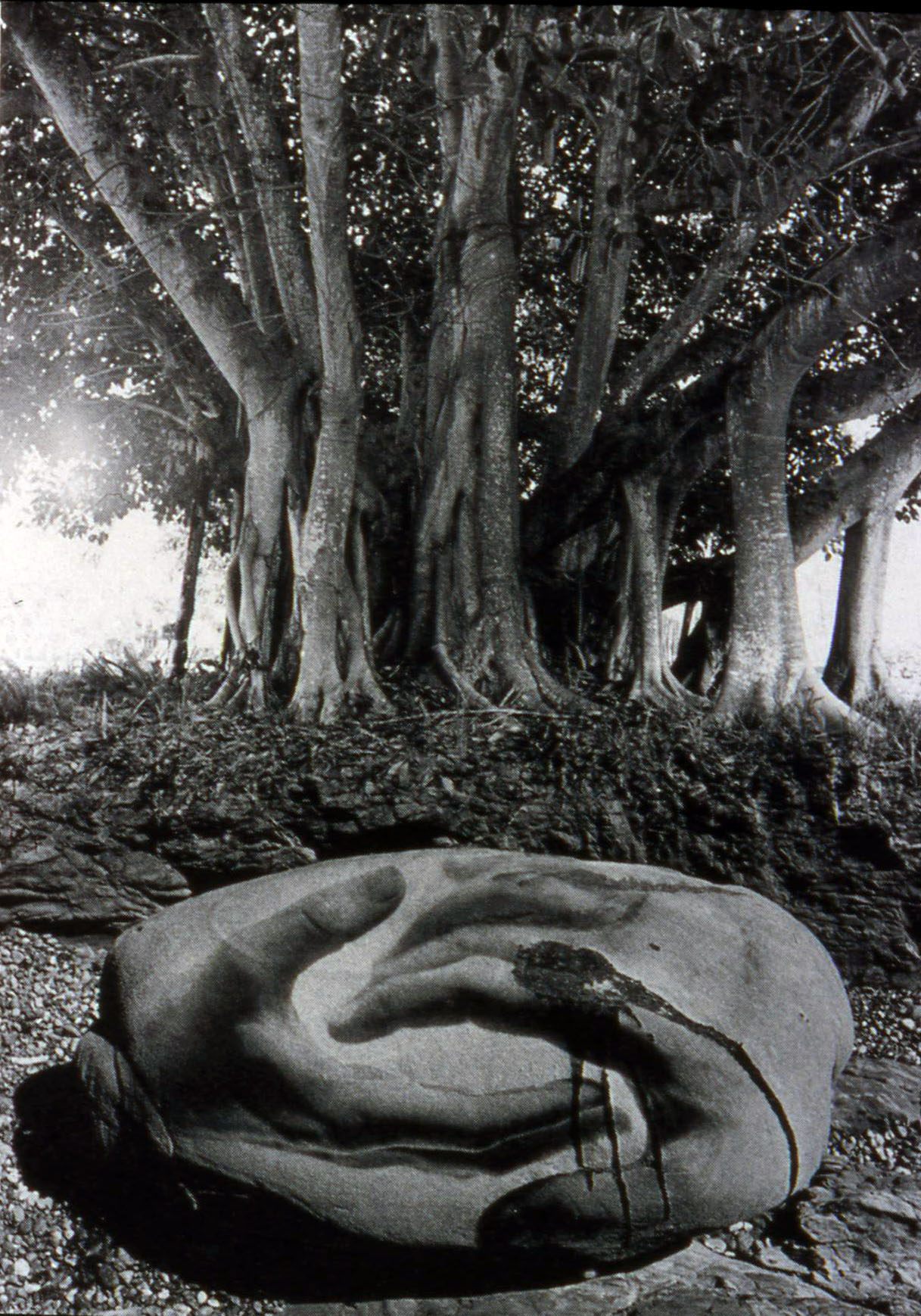 Jerry Uelsmann Untitled Rock Hands Banyan Tree Catherine Couturier Gallery