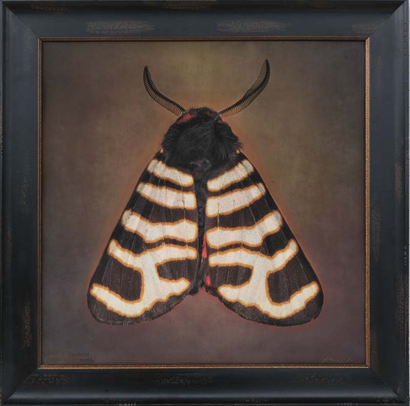 Kate_Breakey,_Arctic_festival_lll,_2025,_Catherine_Couturier_Gallery