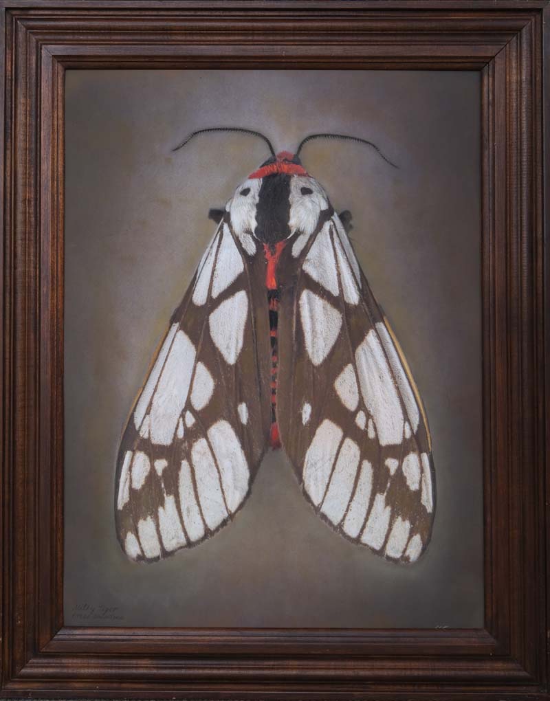 Kate_Breakey,_Areas_galactina,_Milky_Tiger,_2024,_Catherine_Couturier_Gallery