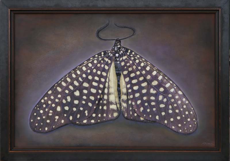 Kate_Breakey,_Cadphises_moorei,_2024,_Catherine_Couturier_Gallery