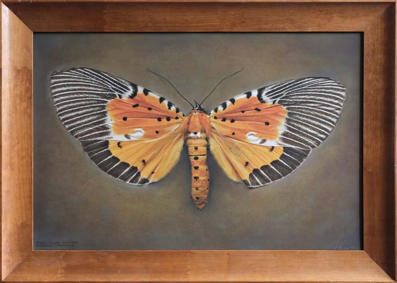 Kate_Breakey,_Peridrome_subfascia,_2025,_Catherine_Couturier_Gallery