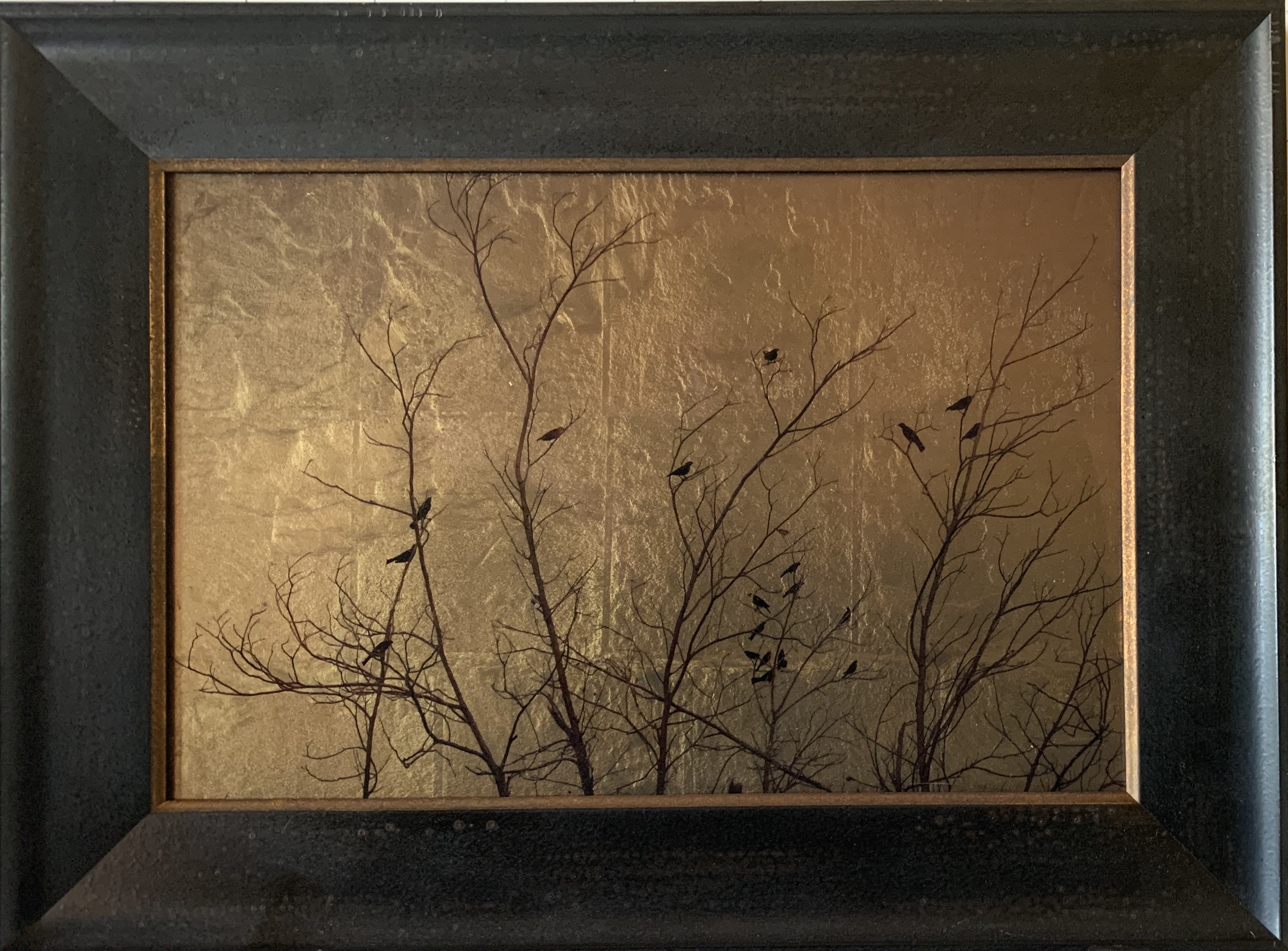 Twenty-two Birds in Bare Tree, New Mexico, Kate Breakey, Modern Day Orotone, Catherine Couturier Gallery