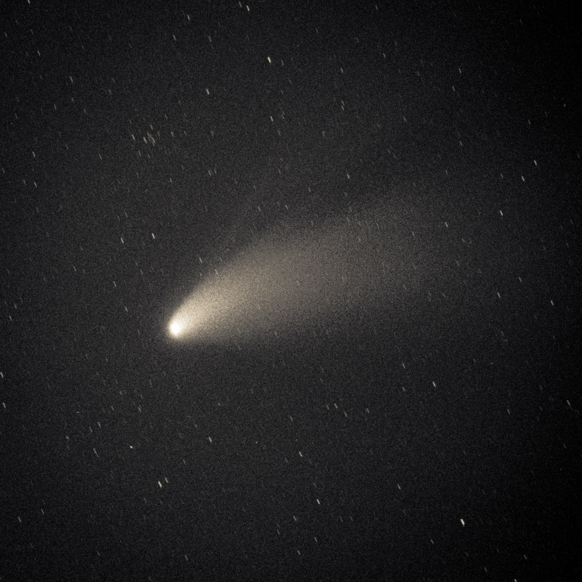 Hale-Bopp Comet 1995