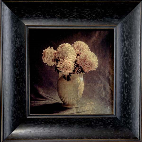 Kate Breakey, Vase with Chrysanthemums II