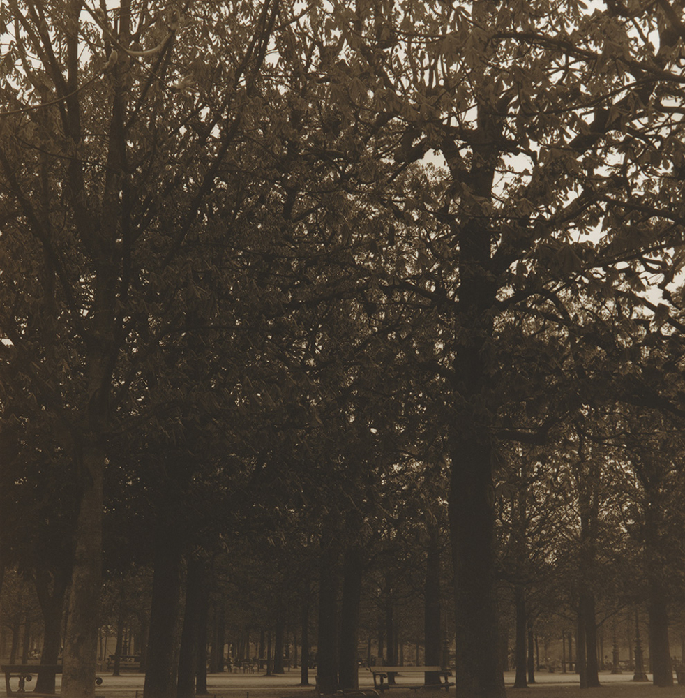 Libbie Masterson: Luxembourg Garden (toned & painted)