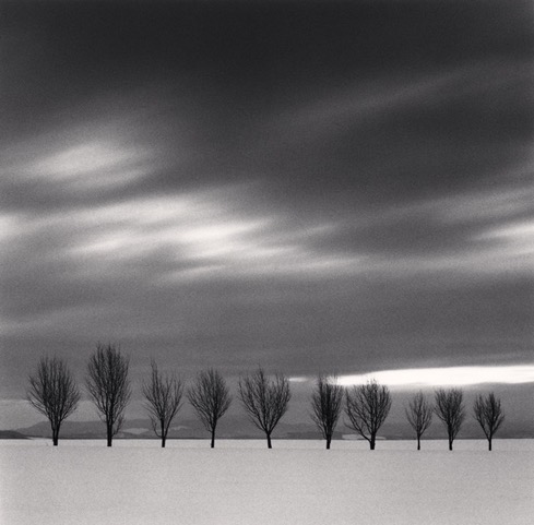 Michael_Kenna,_Ten_Japanese_Elms,_Hokkaido,_Japan,_2024,_Catherine_Couturier_Gallery