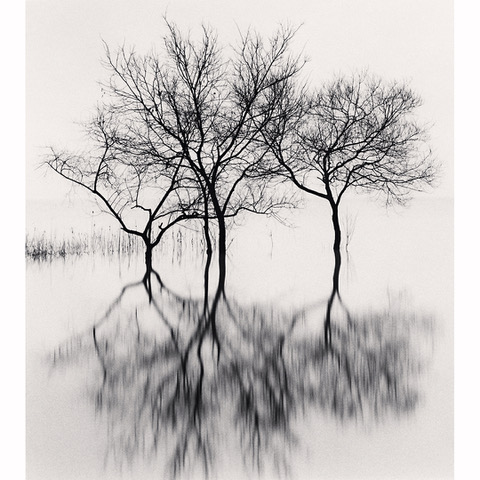 Michael_Kenna,_Contented_Trees,_Daechongho,_Chungcheongbuk-do,_South_Korea,_2024,_Catherine_Couturier_Gallery
