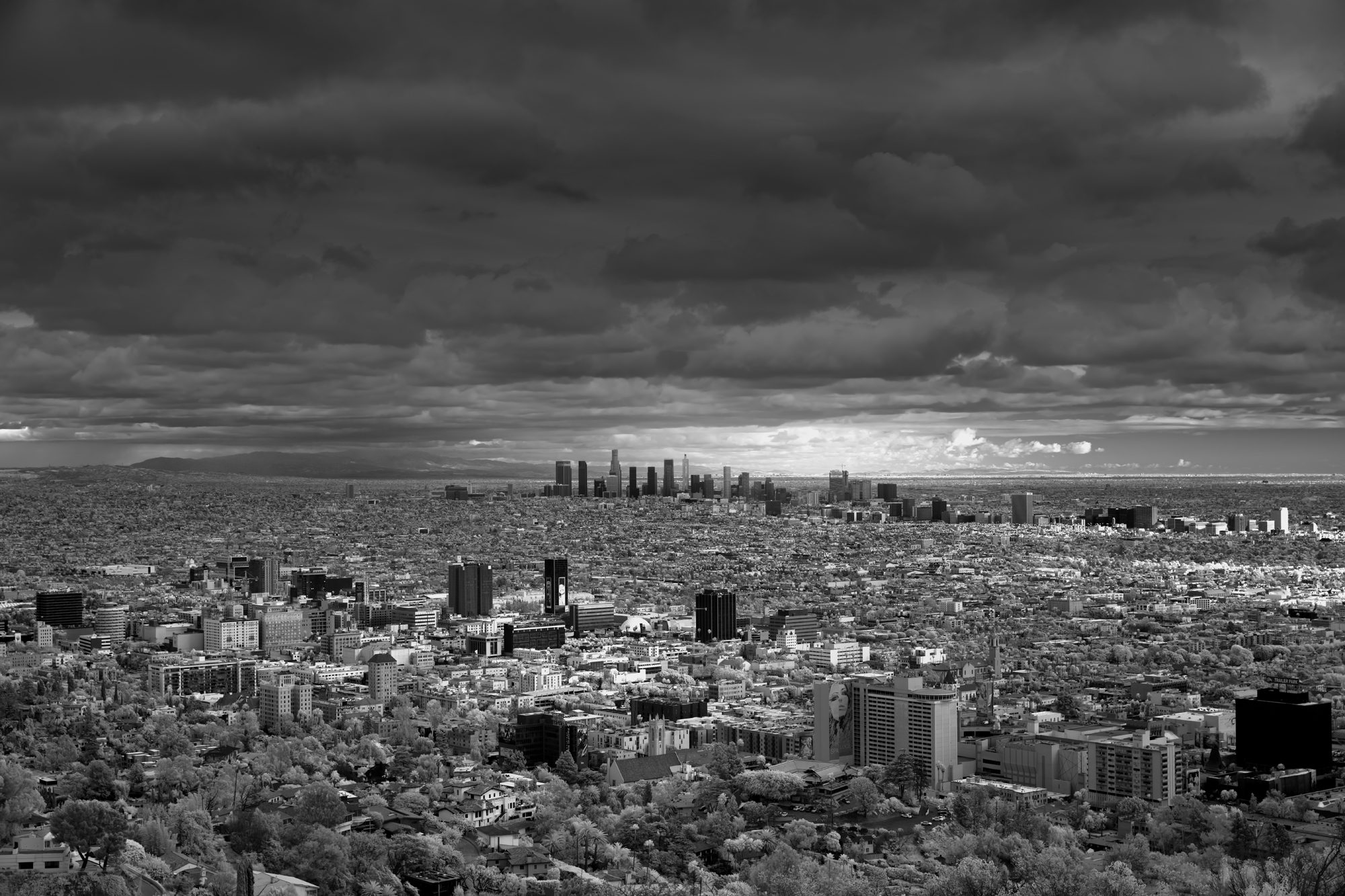 Urbane, Mitch Dobrowner, Catherine Couturier Gallery 
