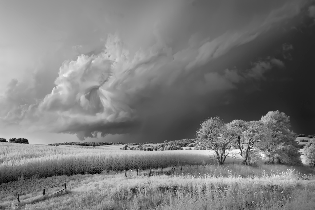 Storm, Field and Trees, Mitch Dobrowner, Catherine Couturier Gallery